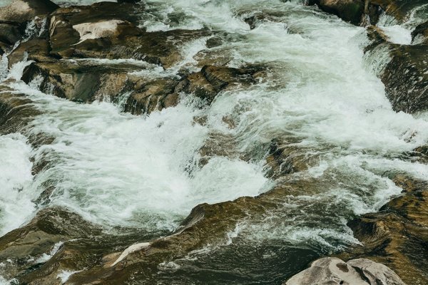 Quels sont les avantages et inconvénients de camper en forêt de conifères en automne?