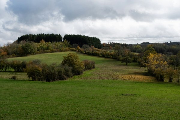 Quels sont les meilleurs conseils pour organiser une chasse aux aurores boréales en Finlande?